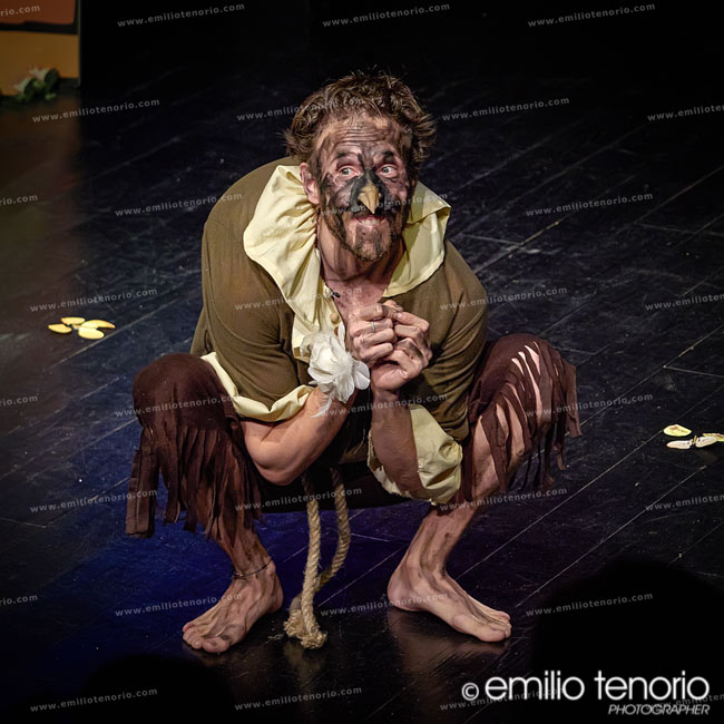 ESCENAMADRID.COM - El cumpleaños de la Infanta - Teatro Lagrada  - © Emilio Tenorio